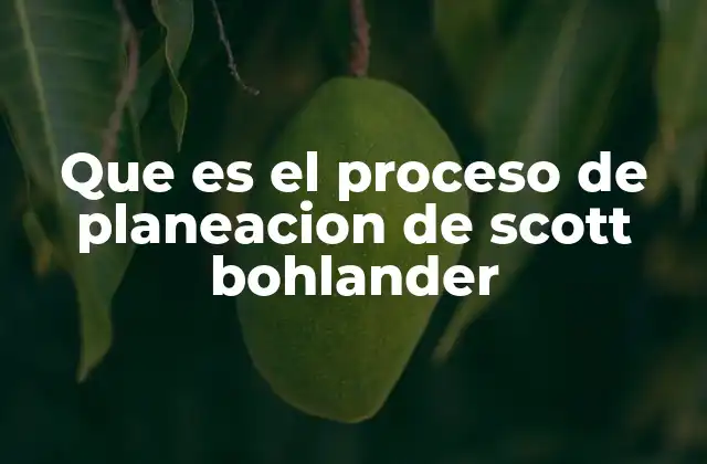Que es el Proceso de Planeacion de Scott Bohlander 2 La importancia de la planeación en la gestión organizacional