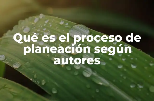 Qué es el Proceso de Planeación según Autores