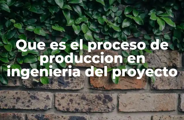 Que es el Proceso de Produccion en Ingenieria Del Proyecto