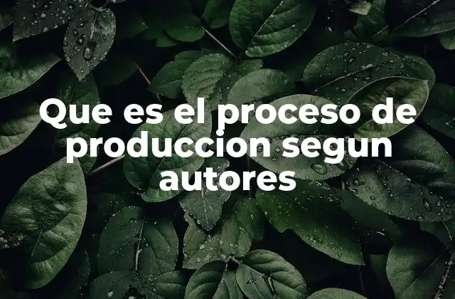 La evolución del proceso de producción a lo largo del tiempo