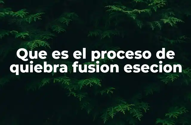 Que es el Proceso de Quiebra Fusion Esecion
