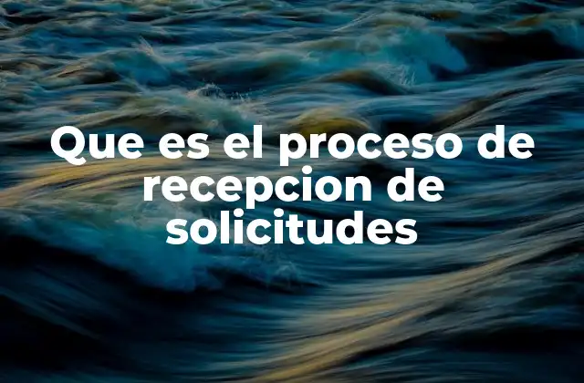 Que es el Proceso de Recepcion de Solicitudes