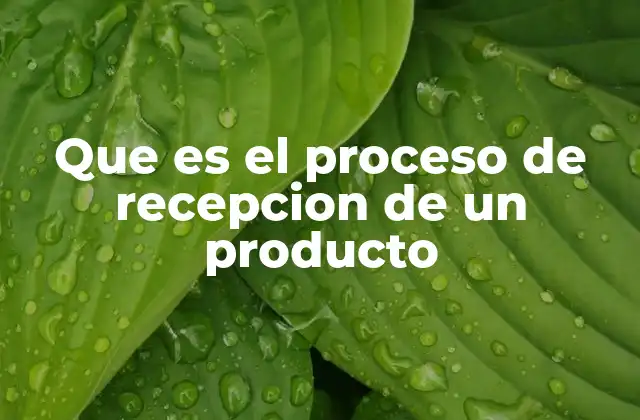 Que es el Proceso de Recepcion de un Producto