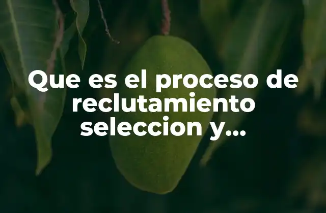 Que es el Proceso de Reclutamiento Seleccion y Contratacion Personal 2 El ciclo completo de adquisición de talento