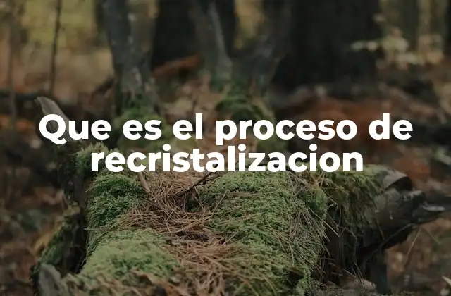 Que es el Proceso de Recristalizacion