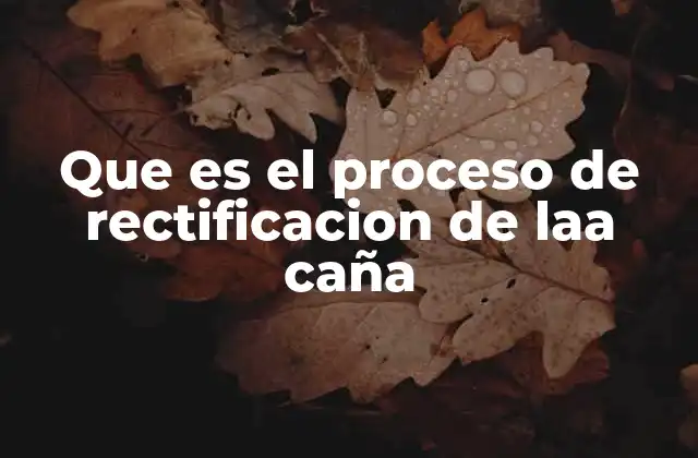 Que es el Proceso de Rectificacion de Laa Caña