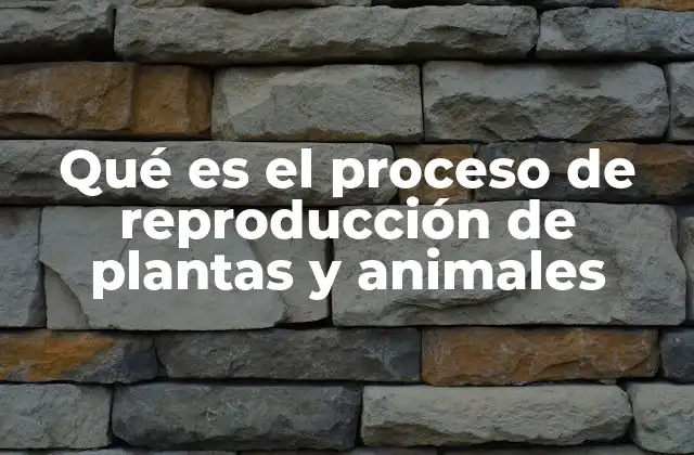 Qué es el Proceso de Reproducción de Plantas y Animales