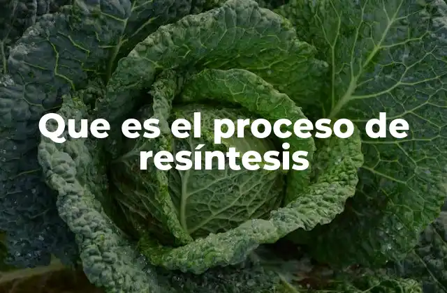 Que es el Proceso de Resíntesis 2 La resíntesis en el contexto de la química moderna