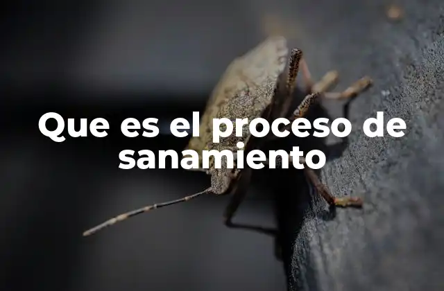 Que es el Proceso de Sanamiento