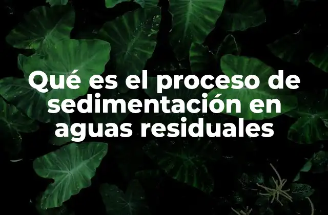 Qué es el Proceso de Sedimentación en Aguas Residuales