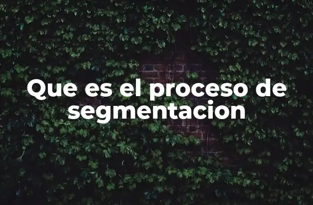 Que es el Proceso de Segmentacion