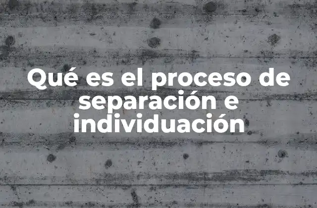 Qué es el Proceso de Separación e Individuación 2 El viaje hacia la autonomía emocional