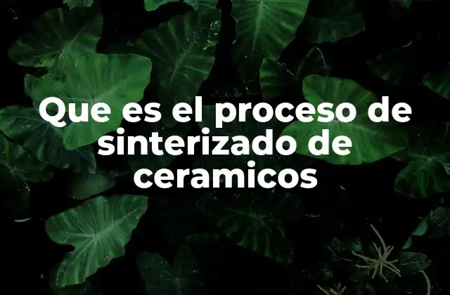 Que es el Proceso de Sinterizado de Ceramicos 2 Fundamentos del sinterizado en la ciencia de materiales