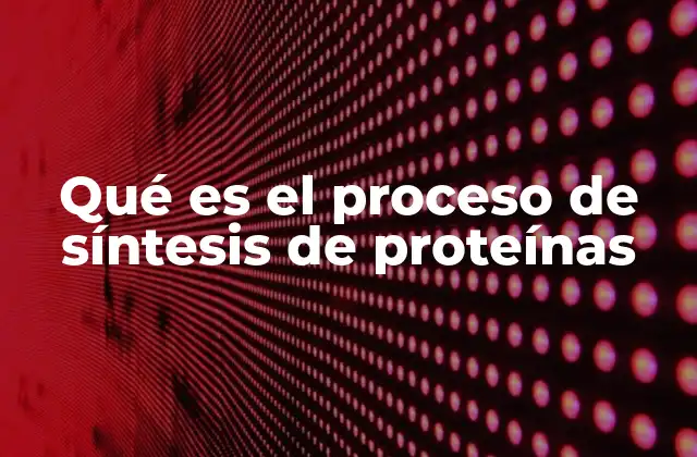 El viaje de la información genética a la proteína