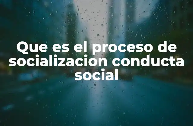 Que es el Proceso de Socializacion Conducta Social 2 La formación de la identidad a través de la interacción social
