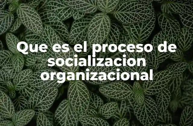 Que es el Proceso de Socializacion Organizacional