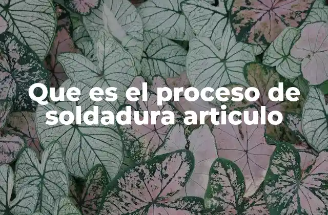 Que es el Proceso de Soldadura Articulo