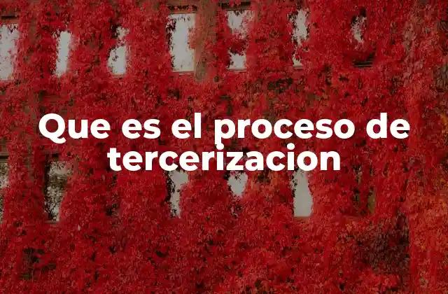 Que es el Proceso de Tercerizacion
