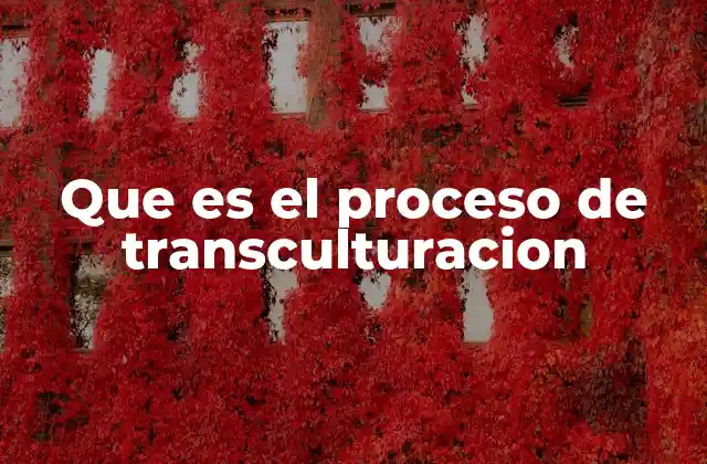Que es el Proceso de Transculturacion