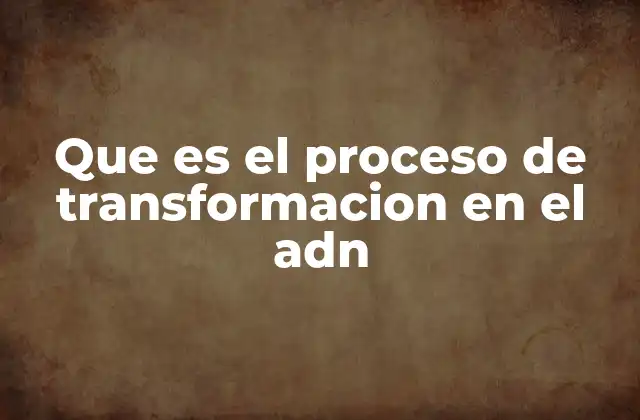 Que es el Proceso de Transformacion en el Adn
