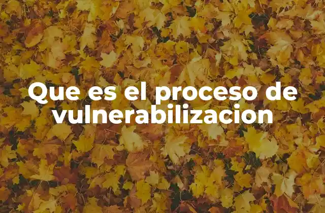 Que es el Proceso de Vulnerabilizacion 2 Factores que contribuyen a la vulnerabilización