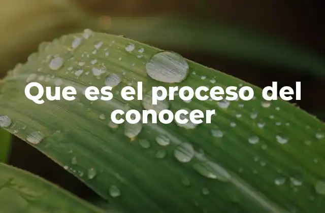 Que es el Proceso Del Conocer