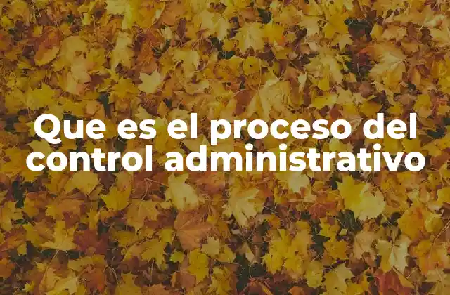 Que es el Proceso Del Control Administrativo