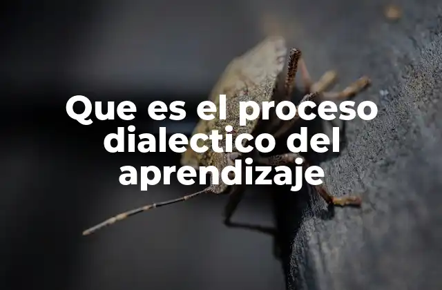 Que es el Proceso Dialectico Del Aprendizaje