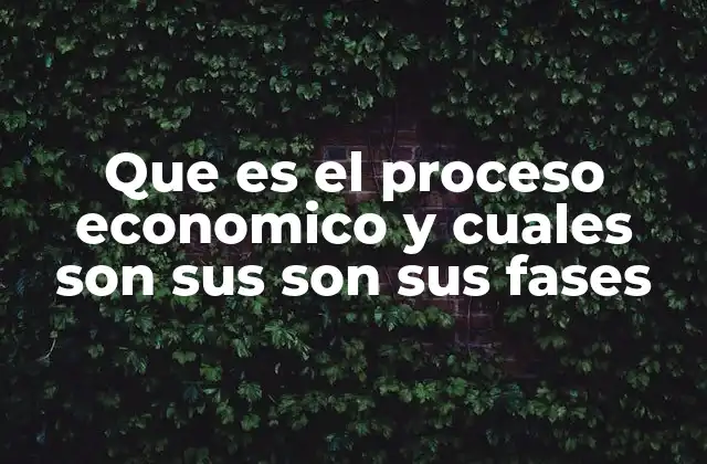 Que es el Proceso Economico y Cuales Son Sus Son Sus Fases