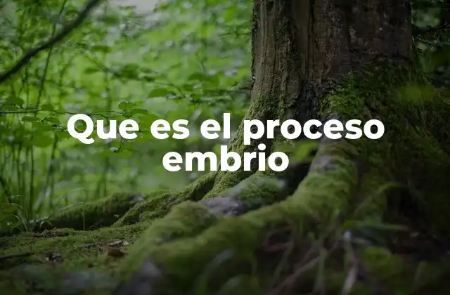 Que es el Proceso Embrio