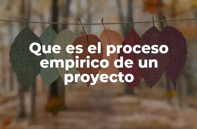 Que es el Proceso Empirico de un Proyecto