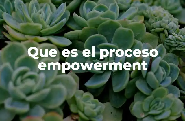 Que es el Proceso Empowerment