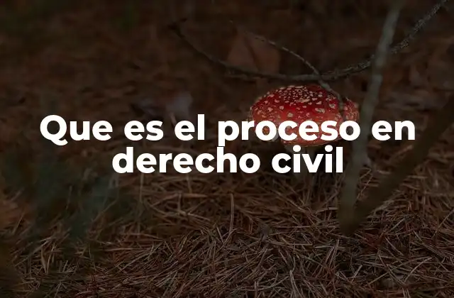 Que es el Proceso en Derecho Civil