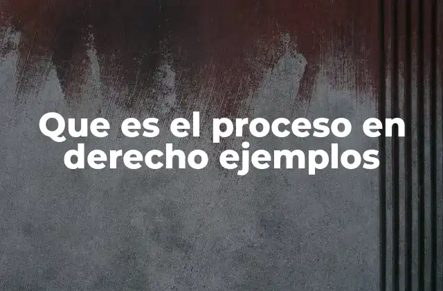 Que es el Proceso en Derecho Ejemplos
