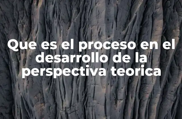 Que es el Proceso en el Desarrollo de la Perspectiva Teorica