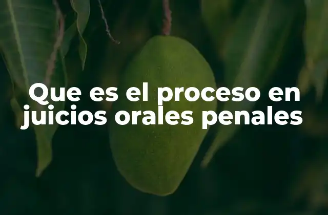 Que es el Proceso en Juicios Orales Penales