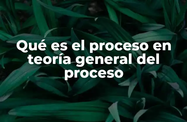 Qué es el Proceso en Teoría General Del Proceso