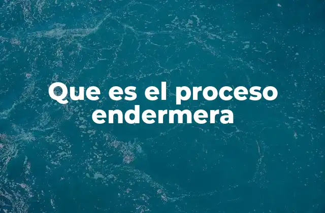 Que es el Proceso Endermera