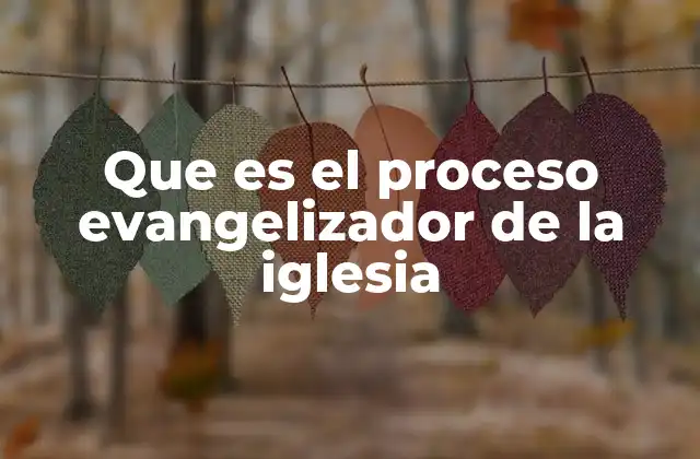 Que es el Proceso Evangelizador de la Iglesia