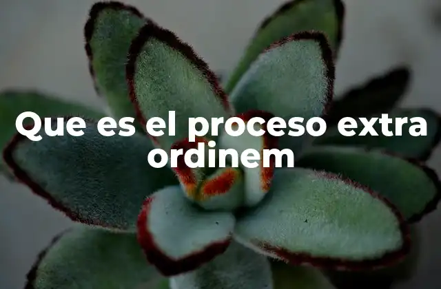 Que es el Proceso Extra Ordinem