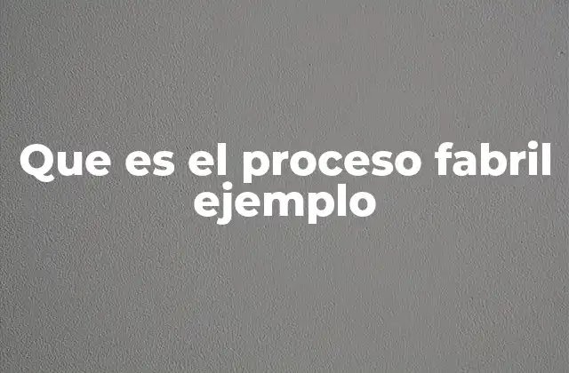 Que es el Proceso Fabril Ejemplo