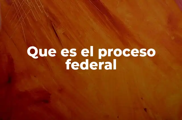 Que es el Proceso Federal 2 El funcionamiento del sistema federal en la vida cotidiana