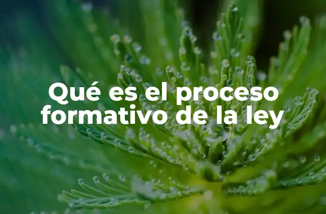 La importancia del diseño democrático en la creación de normas