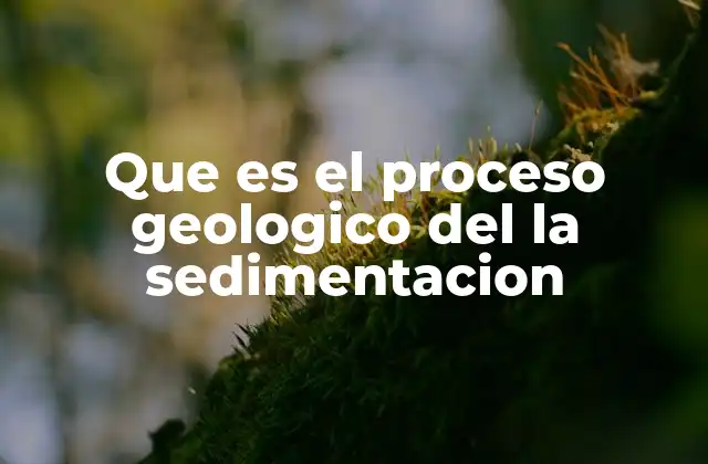 Que es el Proceso Geologico Del la Sedimentacion