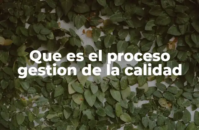 Que es el Proceso Gestion de la Calidad