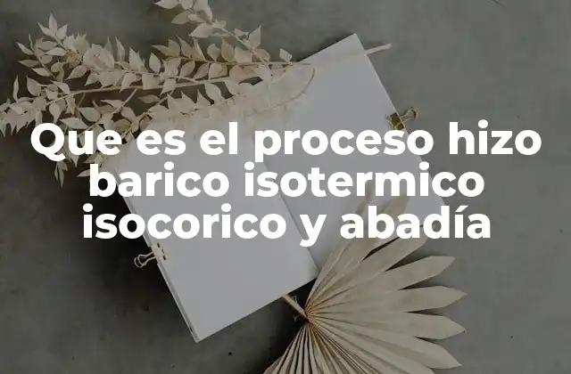 Que es el Proceso Hizo Barico Isotermico Isocorico y Abadía