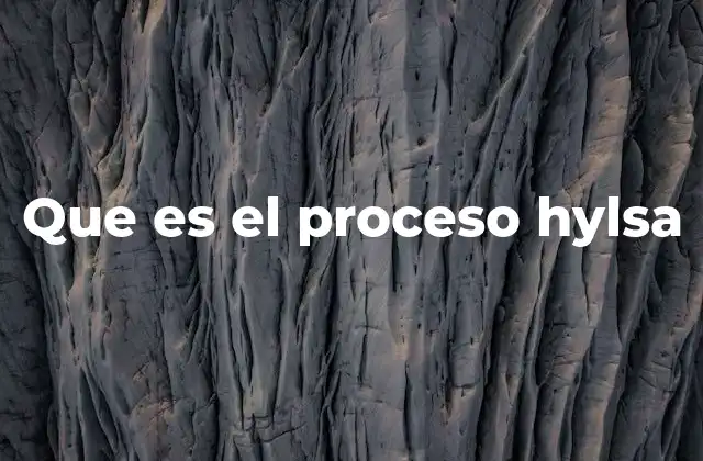 Que es el Proceso Hylsa