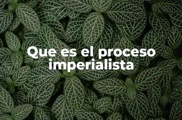 Que es el Proceso Imperialista
