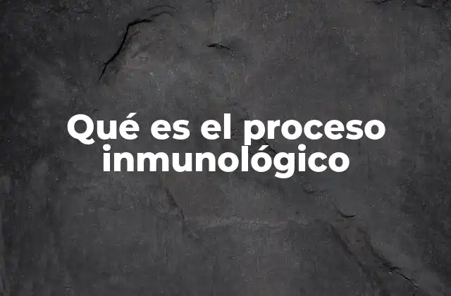 Qué es el Proceso Inmunológico