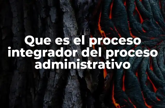 Que es el Proceso Integrador Del Proceso Administrativo